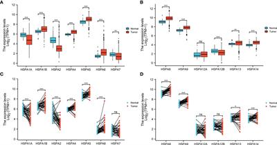 Upregulation of HSPA1A/HSPA1B/HSPA7 and Downregulation of HSPA9 Were Related to Poor Survival in Colon Cancer